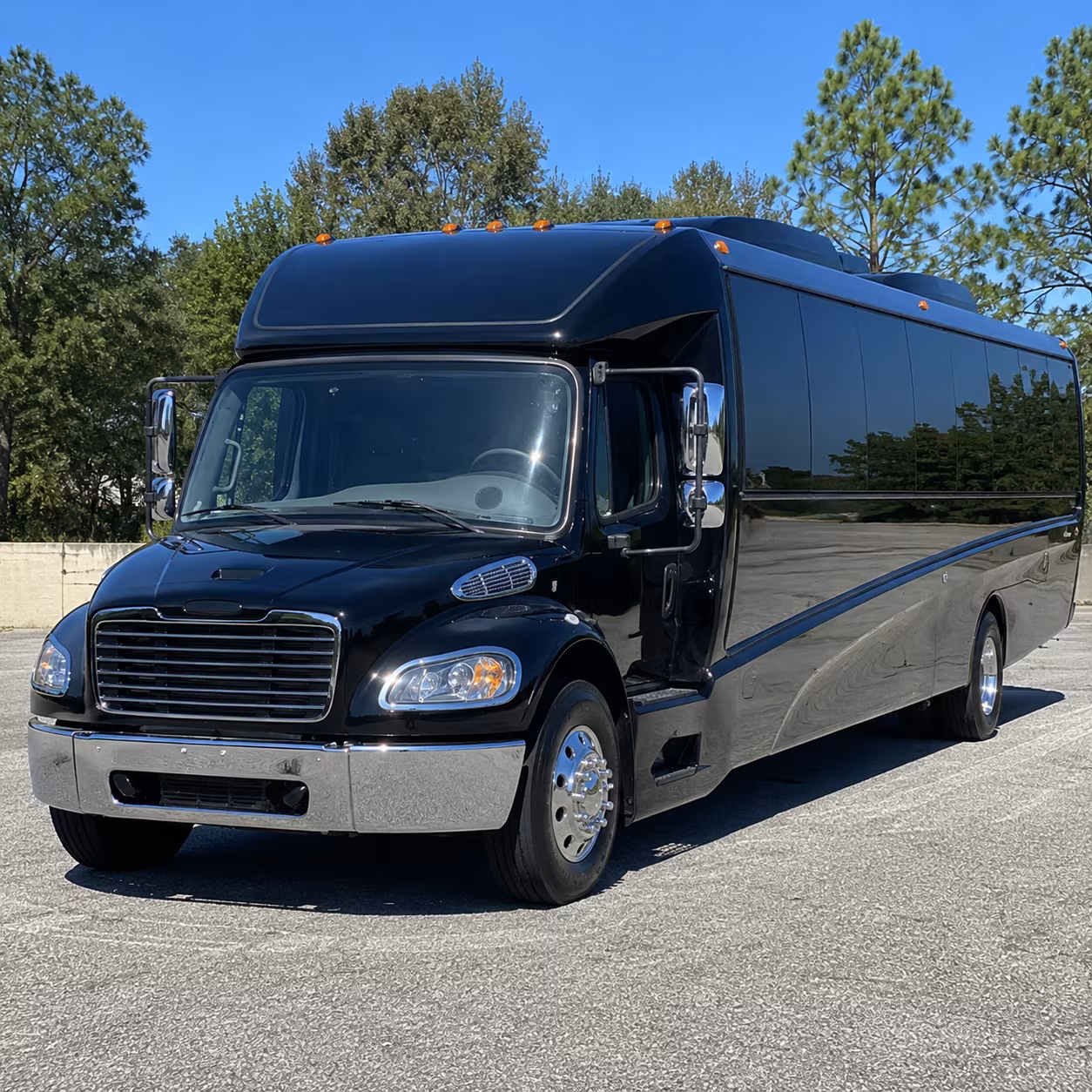 petaluma 25 passenger minibus